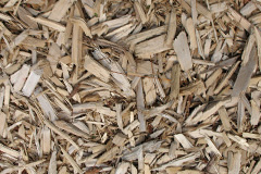 biomass boilers Maligar